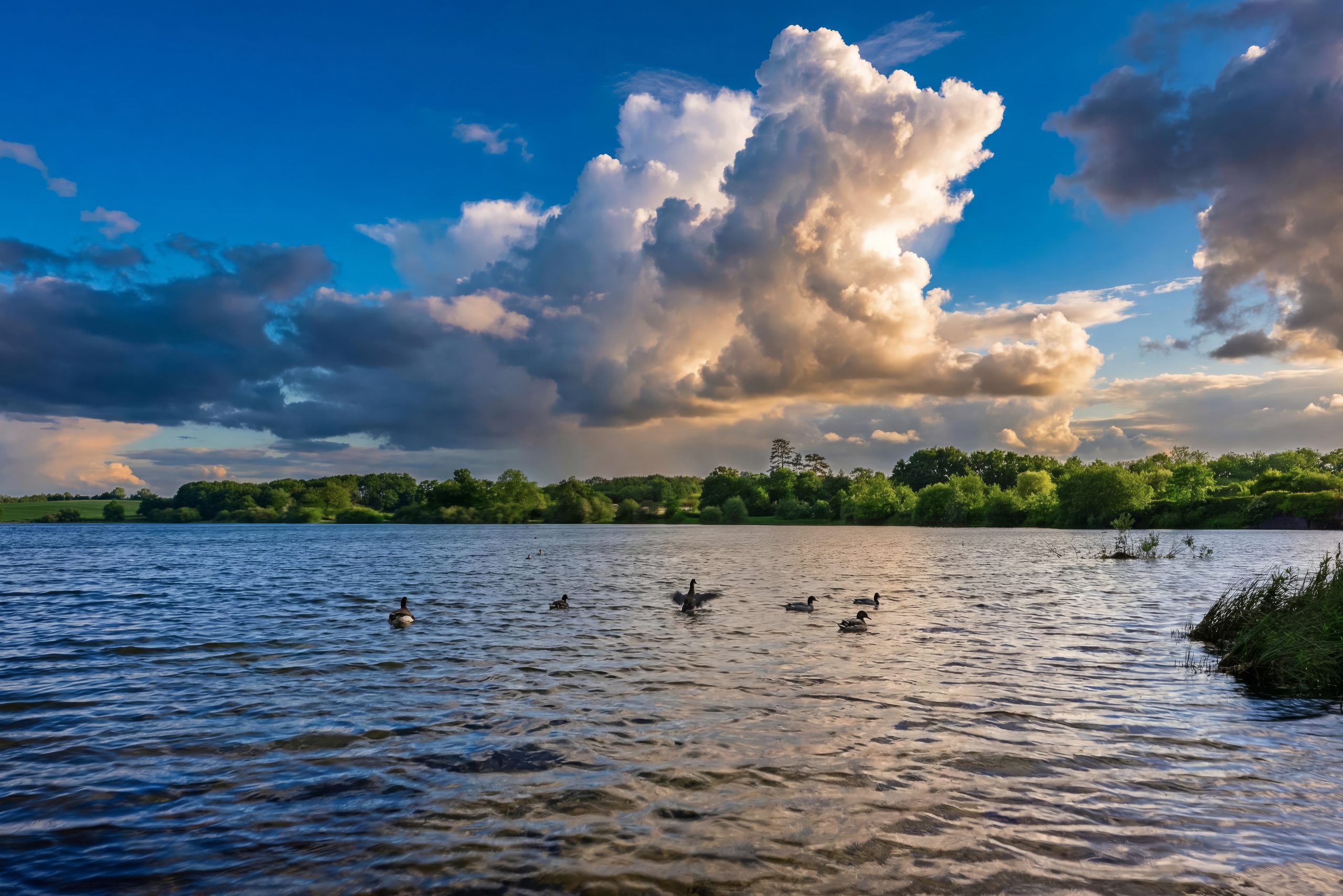 Ravensthorpe Lake beside Far Heath at dusk